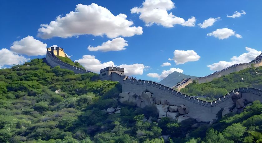 应用场景党政.jpg